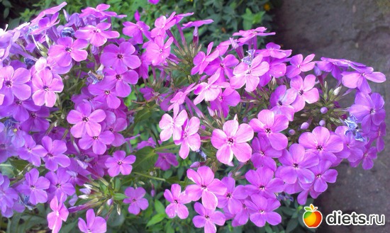 6 ����: ������� ��������������� ����