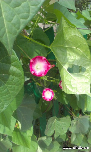 14 ����: ������� ��������������� ����