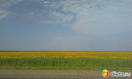 17 ����: ������� ��������������� ����