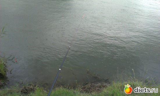 23 ����: ������� ��������������� ����