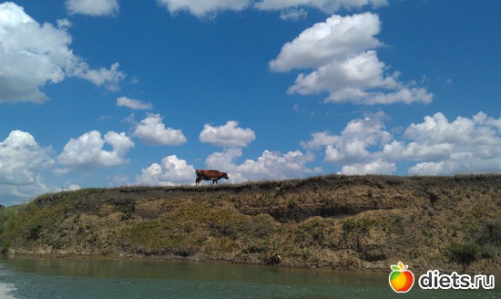 25 ����: ������� ��������������� ����