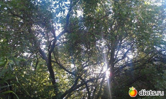 26 ����: ������� ��������������� ����