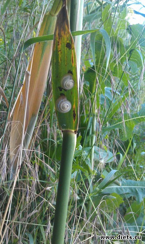 27 ����: ������� ��������������� ����