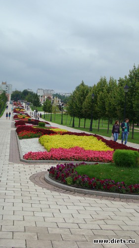 34 ����: ������� � ������ ,������ 2013