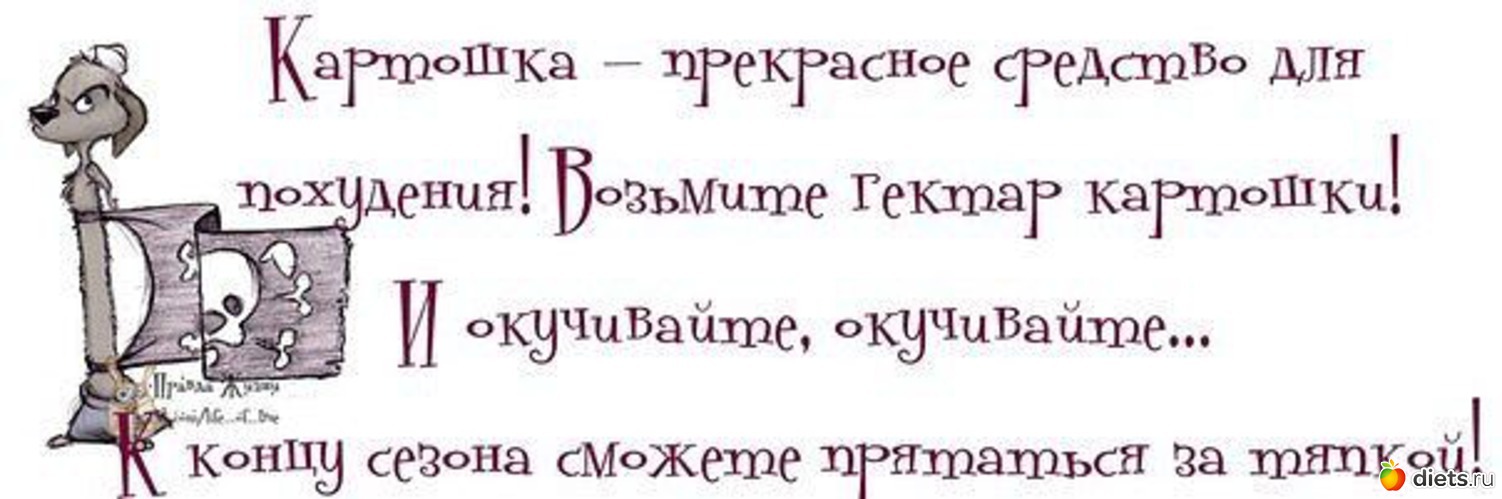 6 ����: ��������