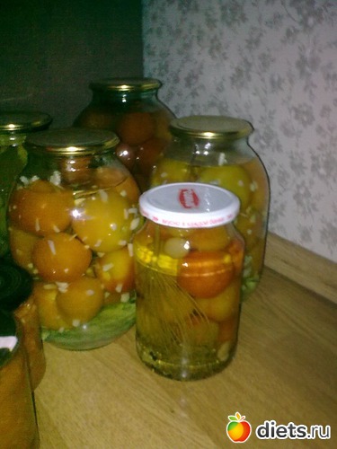 19 ����: ���� 2013