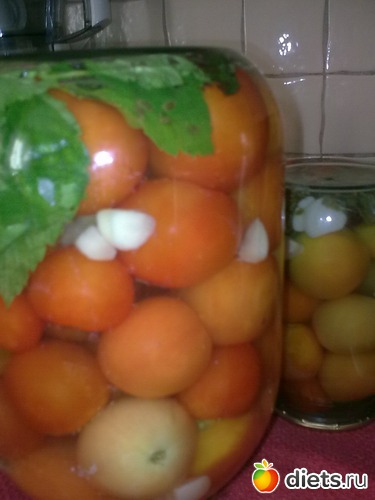 20 ����: ���� 2013