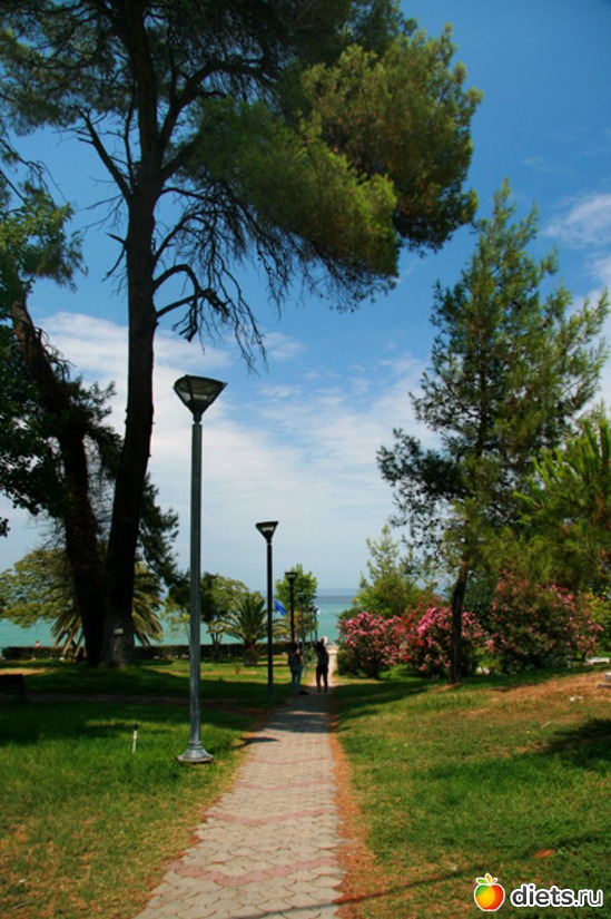 118 фото: Халкидики 2013