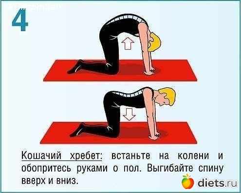 ��� �����