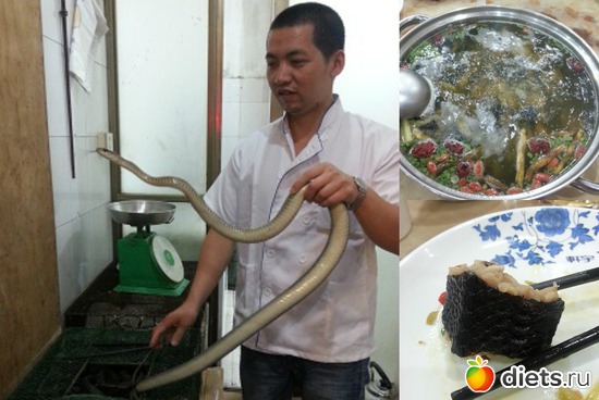 змеиный супчик, альбом: жизнь в Китае