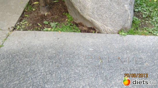 41 ����: ����� ����������� 2013