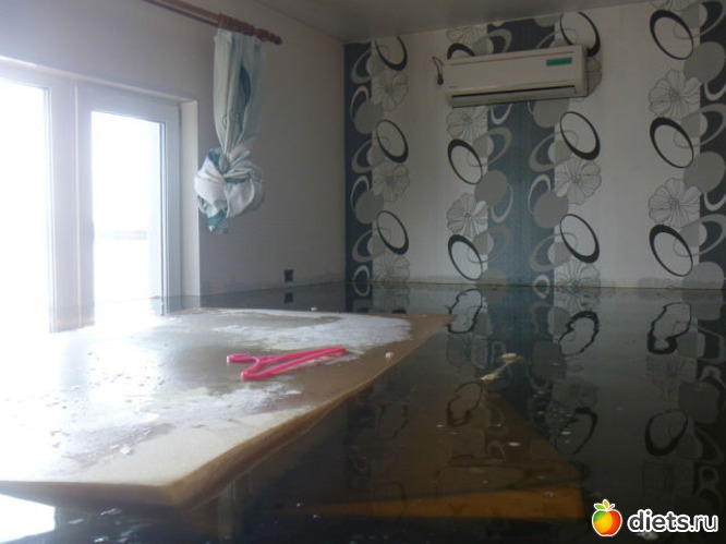 80 ����: ����