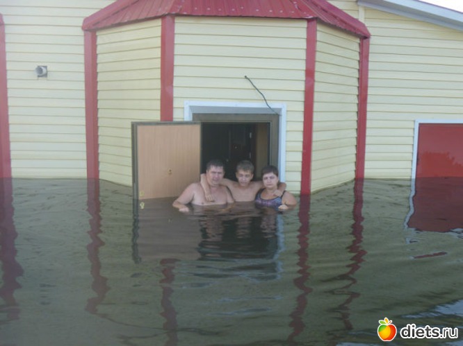 81 ����: ����