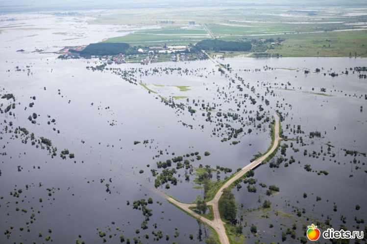 82 ����: ����