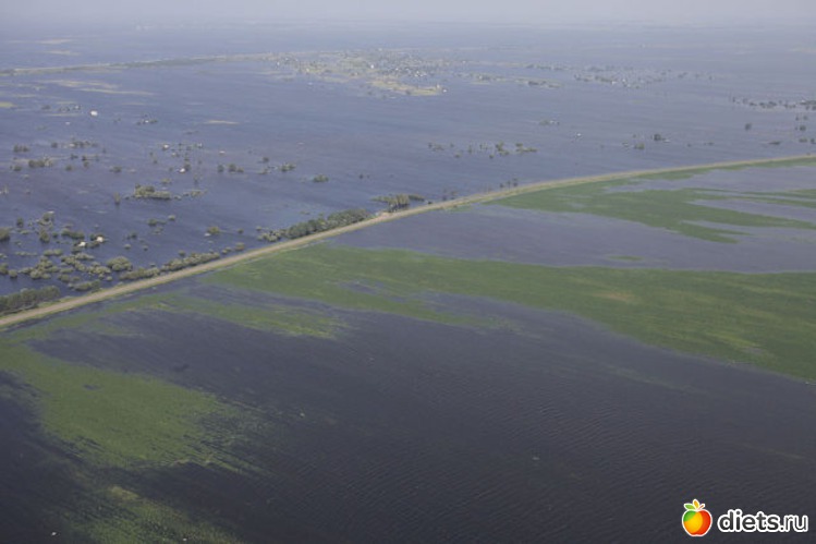 83 ����: ����