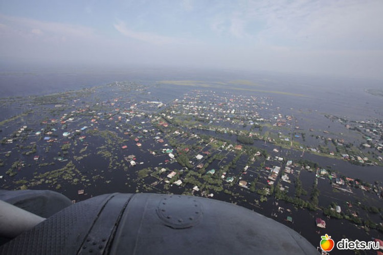 84 ����: ����