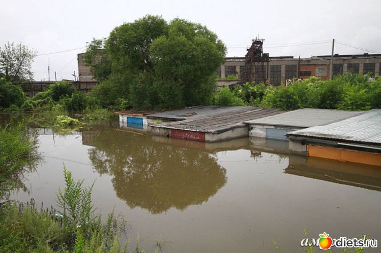 86 ����: ����