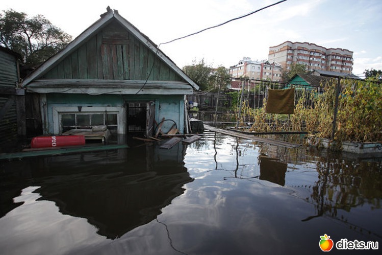 88 ����: ����