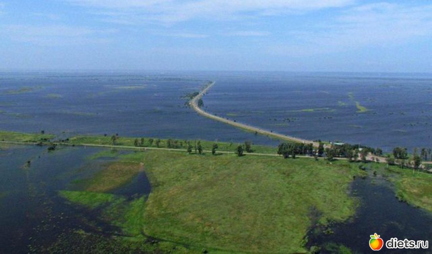 89 ����: ����