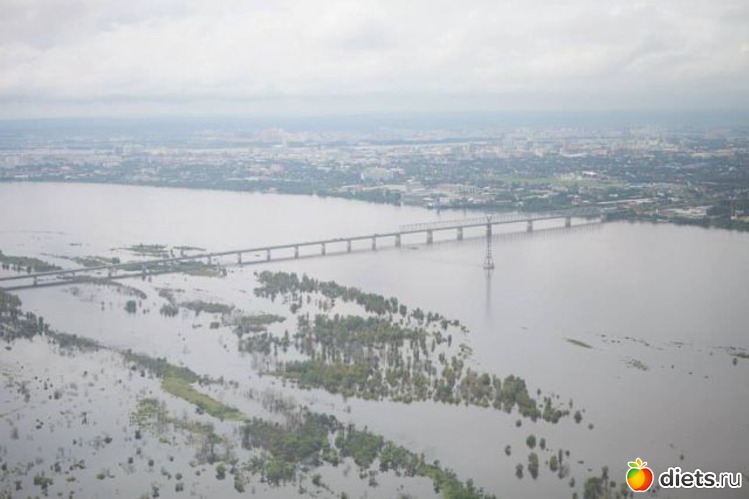 90 ����: ����