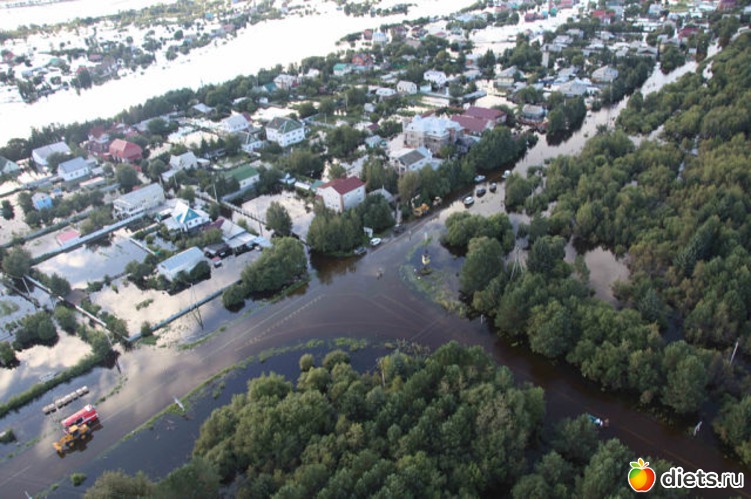 92 ����: ����