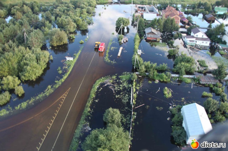 93 ����: ����