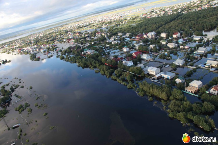 94 ����: ����