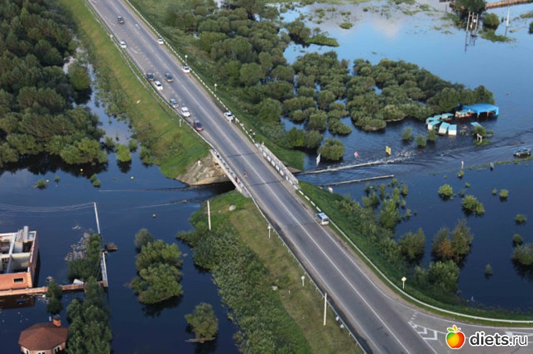 95 ����: ����