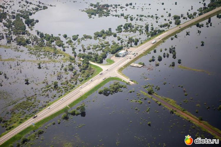 96 ����: ����