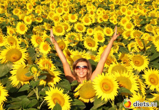 17 ����: ����