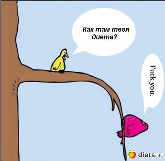 26 ����: ���������.