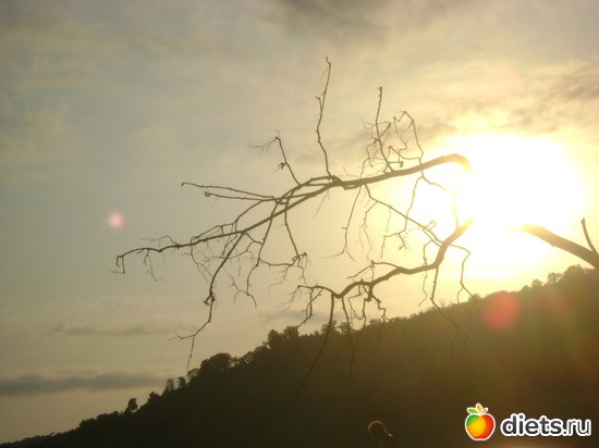 ����� �� �����, ������: ������� 2013