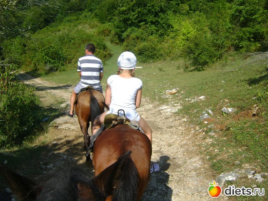 ����� ������, ������: ������� 2013