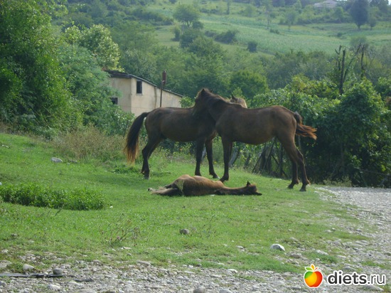 ������2, ������: ������� 2013