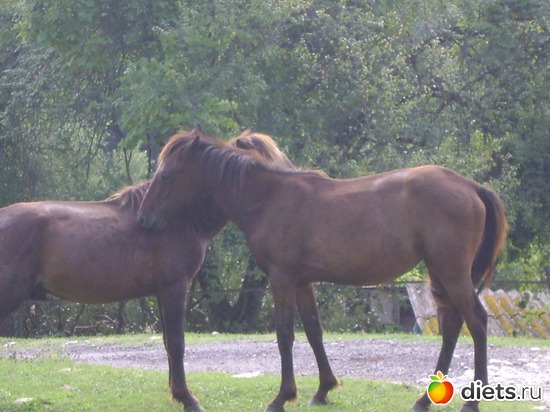 ������ 3, ������: ������� 2013