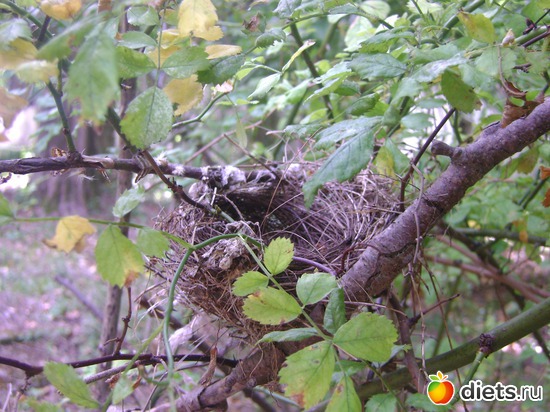 ����� � ����� ������ ������, ������: ������� 2013