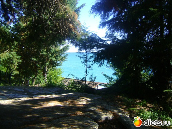 ������ �� ����, ������: ������� 2013