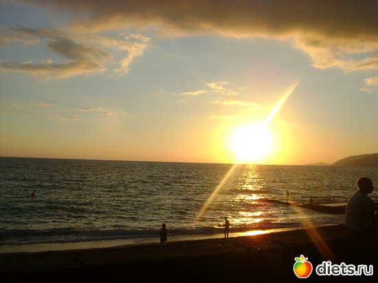 �����  �����, ������: ������� 2013