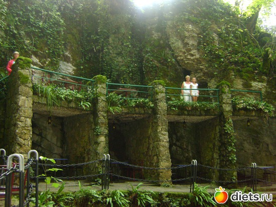 �������� "������", ������: ������� 2013