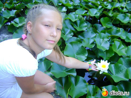 ������ � �������, ������: ������� 2013