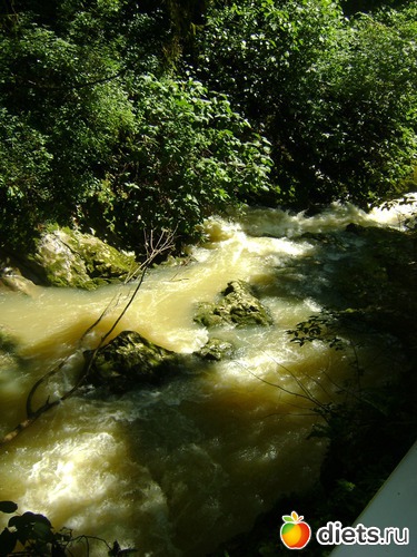 ������ - ����������, ������: ������� 2013