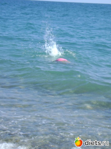 ������� ��������� ��������� � ����, ������: ������� 2013