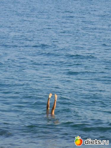 ����� ��������� ����, ������: ������� 2013