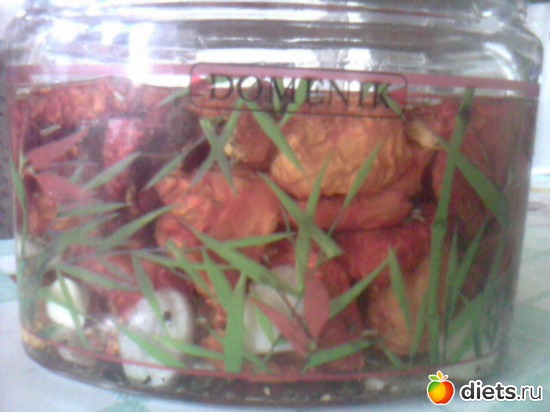 мои помидорки, альбом: шедевры