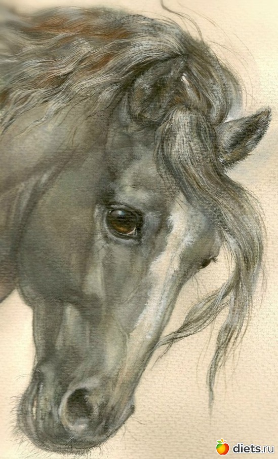 26 ����: ��������� ��������� ����������