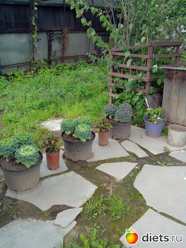 1 ����: � ����� � ���������� ����������.