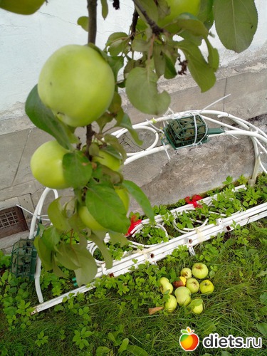 2 ����: � ����� � ���������� ����������.