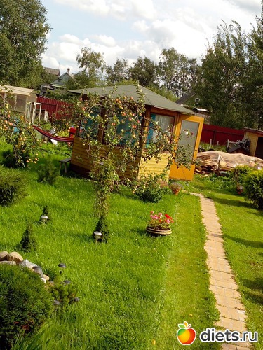 3 ����: � ����� � ���������� ����������.