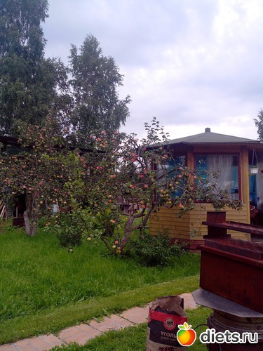 13 ����: � ����� � ���������� ����������.