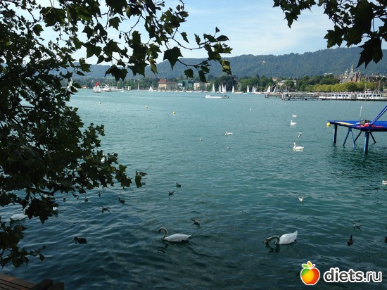 3 ����: �������� �� ������ 18.08.2013